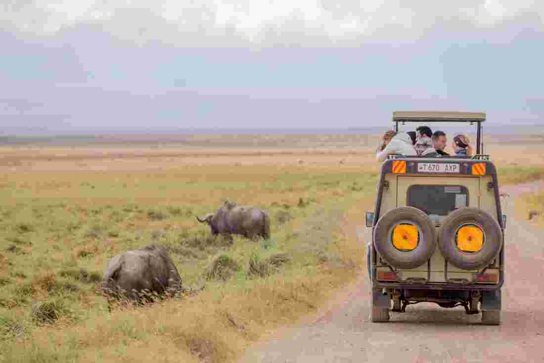 Maasai Mara conservation 